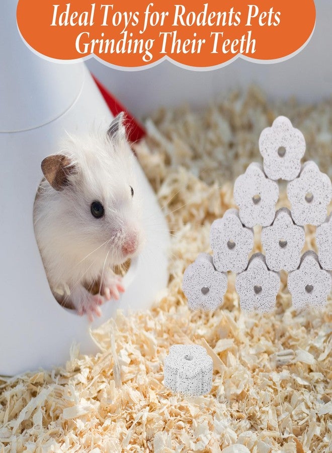 xozeooeu 50 Pcs Small Animal Lava Bites, Mineral Calcium Chew T Blocks for Teeth Grinding, Flower Shape for Hamster, Chinchilla, Rabbit, Guinea Pig - Image 5